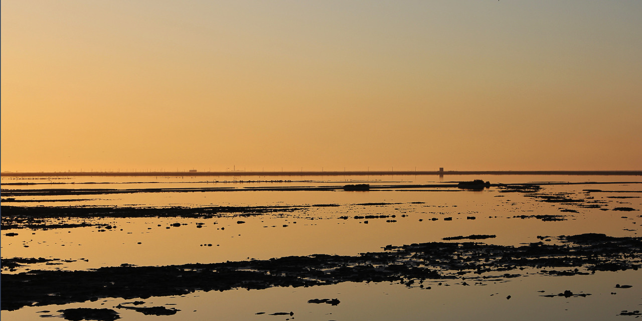 Paysages et compositions
